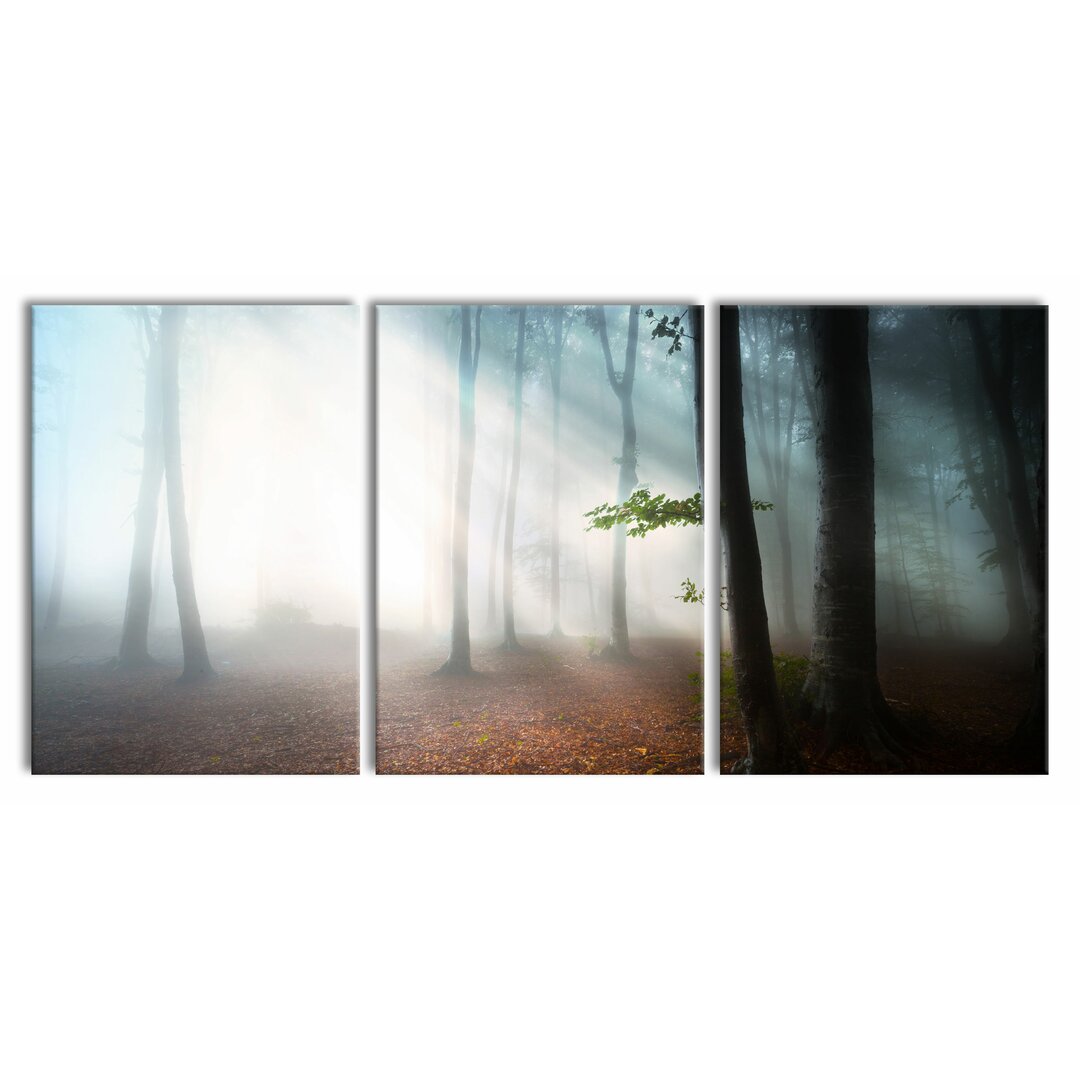 3-tlg. Leinwandbilder-Set Dark Misty Forest