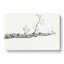 Study Of A Tree by Jean Bernard - Wrapped Canvas Painting-55318977