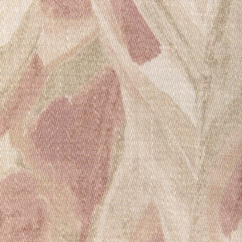 Caspia, Persian Rose