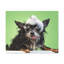 «Funny Chihuahua Bath», art mural sur toile-1389427013