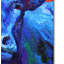 «Blue Cow» par Kucera, reproduction sur toile tendue-22068802