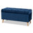 Velvet Ottoman-1630420222