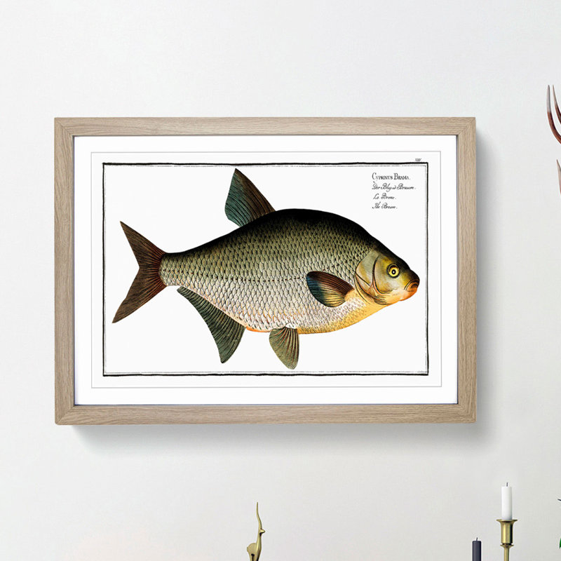 Bream Fish - Picture Frame Painting Print, Oak Framed, 62cm H x 87cm W x 2cm D
