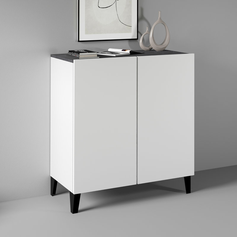 Ryung 2 -Door 1 -Shelf Storage Cabinet, White/Black