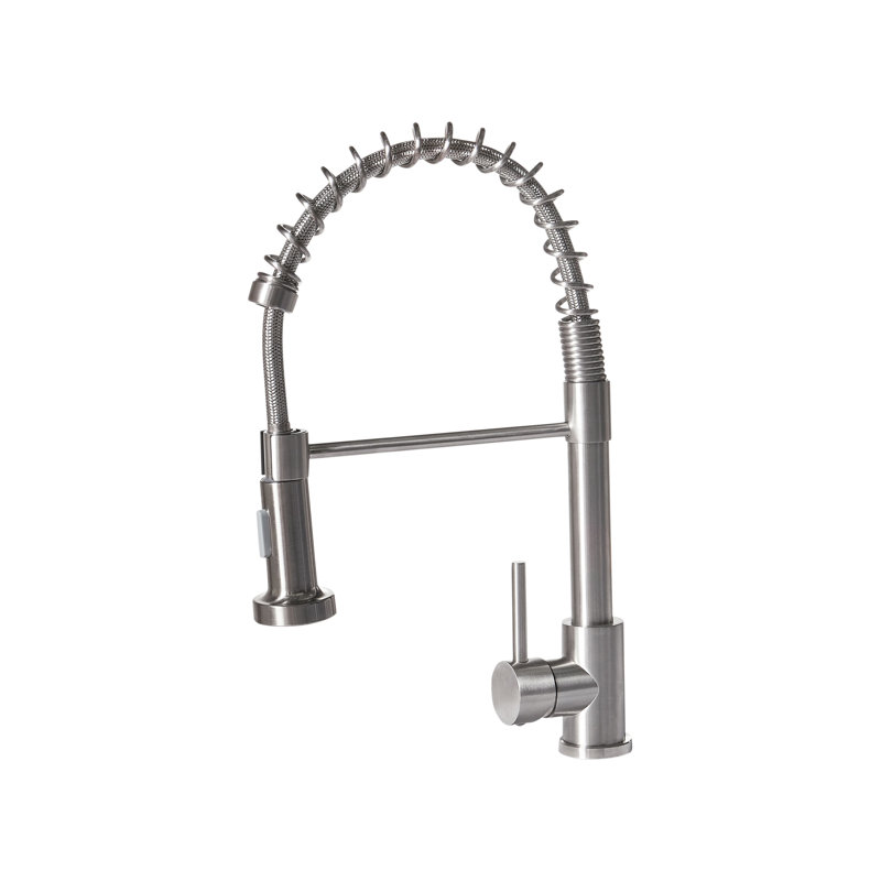 Belfry Kitchen Kitchen Faucet, Brushed Nickel/Polished Chrome