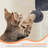 Danas 57'' H Cat Tree-1643949253