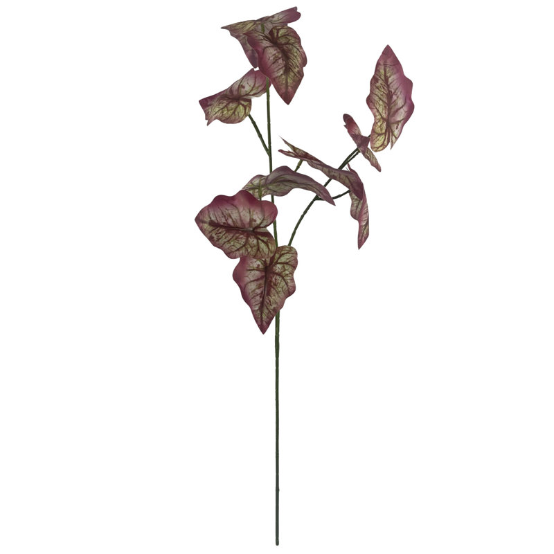 Andwele Arrangement