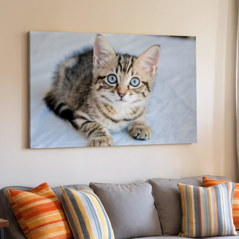Toile, chaton tigré ludique avec de grands yeux bleus expressifs et art mural, H 9 po x l 12 po