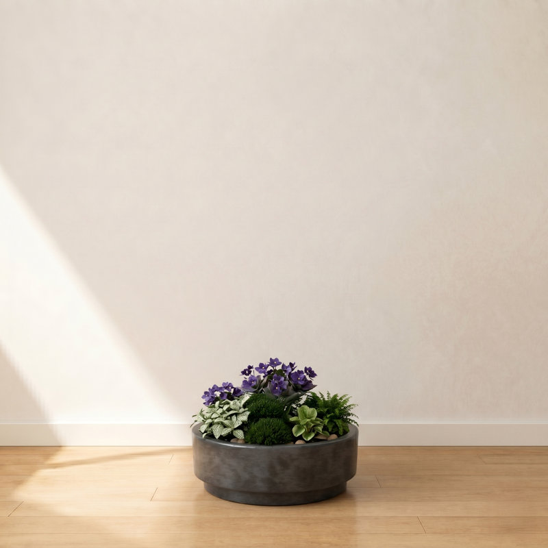 Dempsi ECOBO Eco-Friendly Round Pot Planter, Carioca Indoor/Outdoor Four Seasom Use, Dark Gray, 3.1" H x 9.8" W x 9.8" D