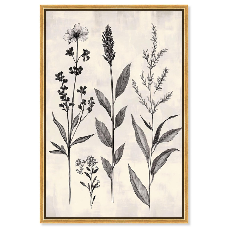 "Meadow Herbs I", impression murale sur toile par Art Remedy, cadre doré, 24 x 36, H 37 po x l 25 po, Cadre doré