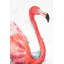 Éclaboussure de flamant rose - imprimé mat encadré rose pour la décoration intérieure