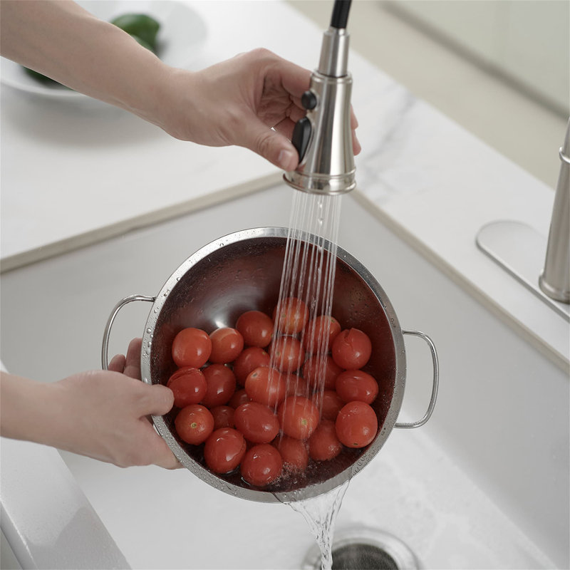 Robinet de cuisine à un trou avec douchette extractible et robinets d'évier de cuisine à poignée simple, Nickel brossé