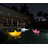 The Bobb Shark Lamp