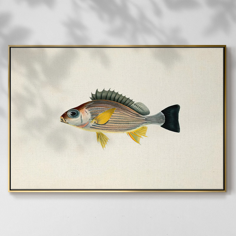 " Tropical Fish Collection III ", 27" H x 41" W x 2" D, Gold Framed