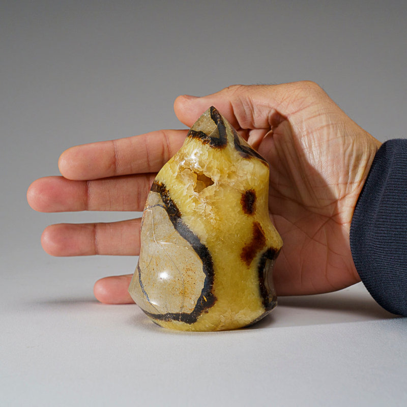 Septarian Decorative Object
