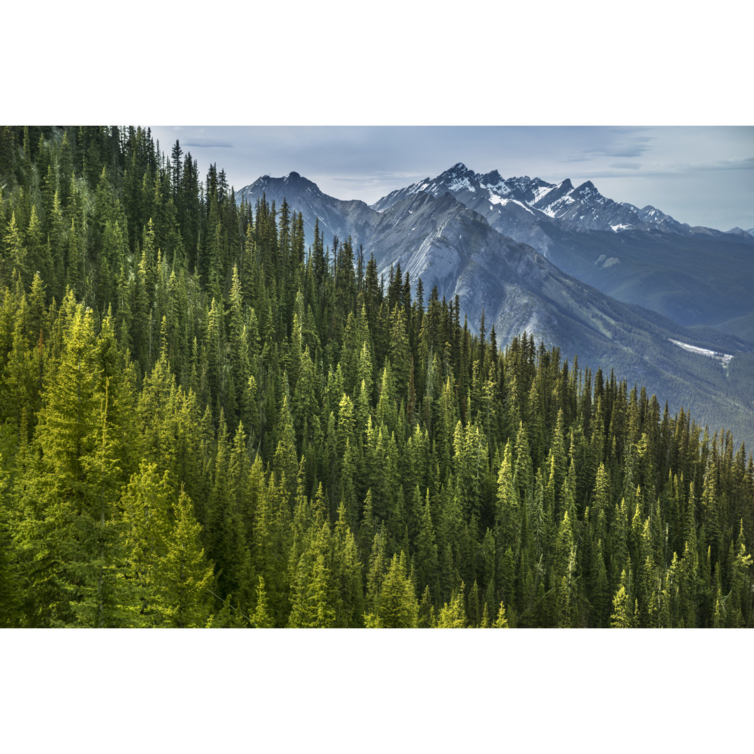 Sulphur Mountain von Pgiam - Leinwandbild