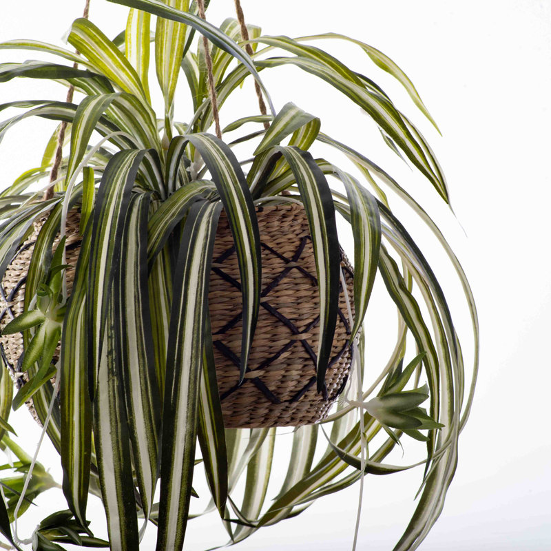 Panier suspendu mixte
