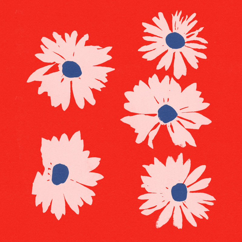 «Daisies 4» par Garima Dhawan, reproduction faite à la machine, H 20 po x l 20 po, Non, Cadre simple blanc