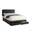 Ensemble de lit 1 pièce noir luxueux avec tiroirs de rangement FB Modern-1436144074
