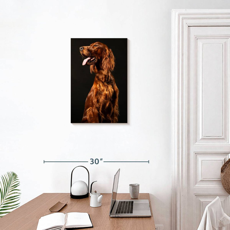 Setter irlandais Brampt, H 24 po x l 16 po