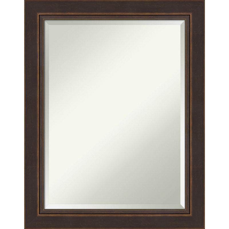 Miroir décoratif biseauté Ganzy, 28,5 po x 22,5 po