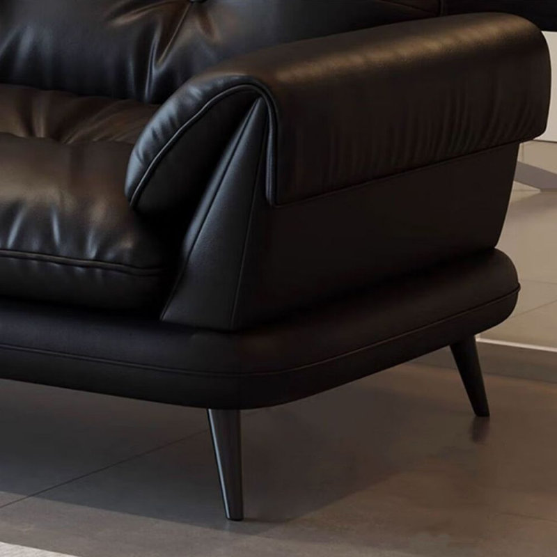 Black Genuine Leather Standard Sofa