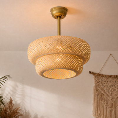 Ventilateur de plafond en rotin tressé de 50 cm avec cage, ensemble d'éclairage et télécommande