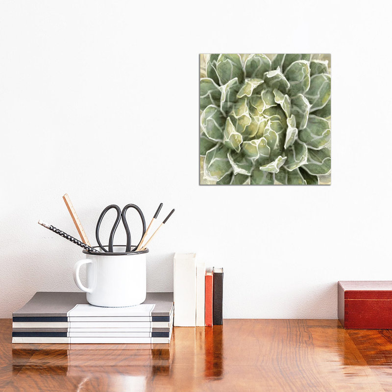 Succulent VII by Lindsay Benson - Wrapped Canvas Painting