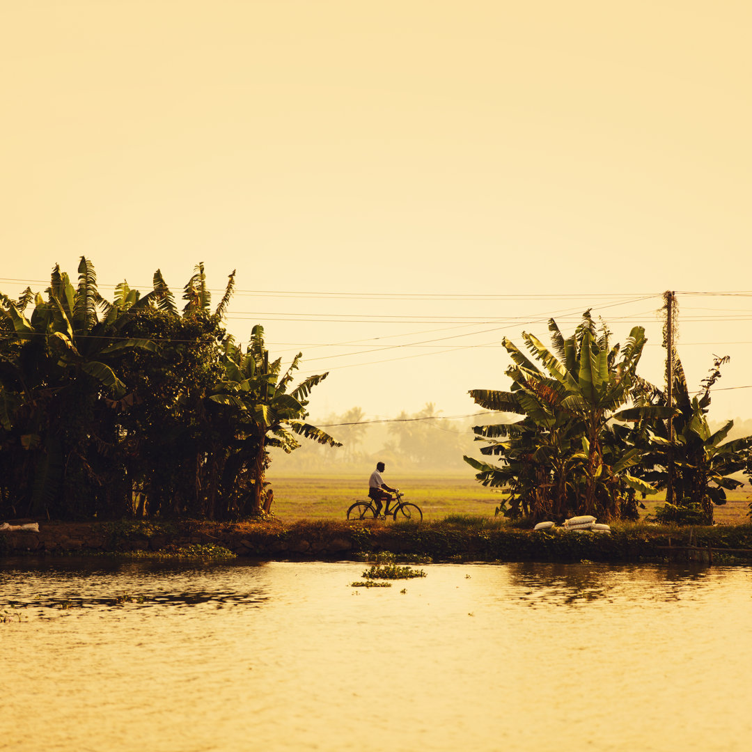 Backwaters Of Kerala von THEPALMER - Druck auf Leinwand ohne Rahmen