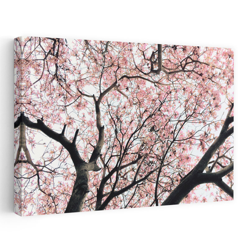 Arbre de cerisier japonais délicat contemporain, H 24 po x l 36 po