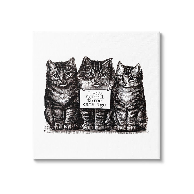 Signe normal normal de trois chats par Amy Brinkman, L 17 po x H 17 po, Toile tendue