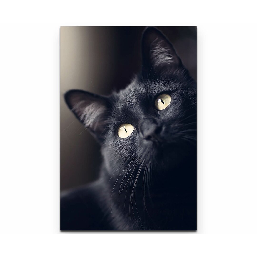 Leinwandbild Schwarze Katze - Portrait