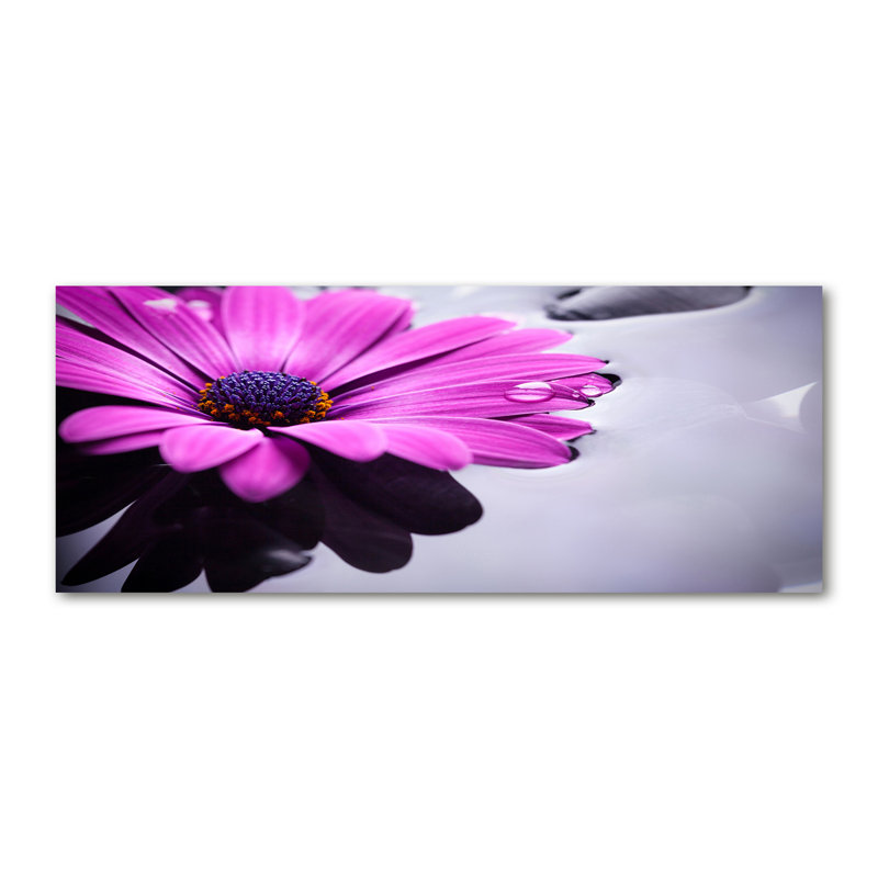 Gerbera - No Frame Print on Canvas