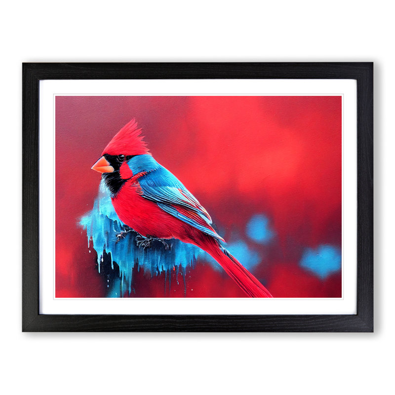 Cardinal Bird Vol.16 - Single Picture Frame Print, Black Framed, 46cm H x 64cm W x 2cm D