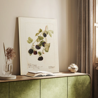 Impression sur toile encadrée