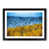 Black Framed selected