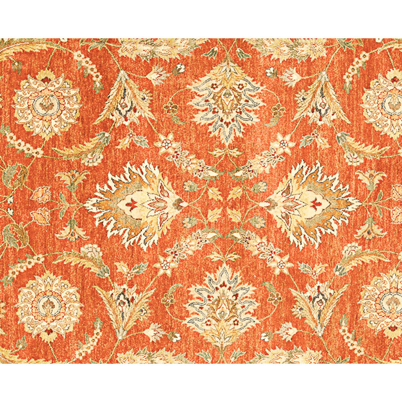 Hand Knotted Wool Area Rug in Rust And Ivory