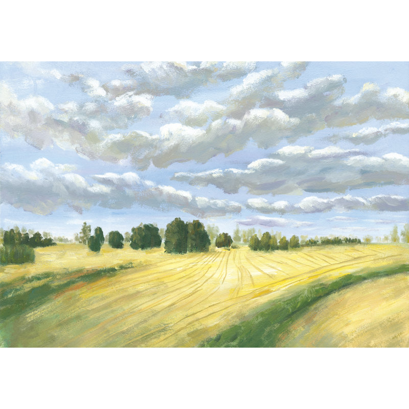 Cloudy Field - Wrapped Canvas Painting, 30cm H x 46cm W x 3.8cm D