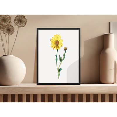 Comeau Single Picture Frame Print