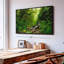 Impression sur toile Forest Stream-102354267
