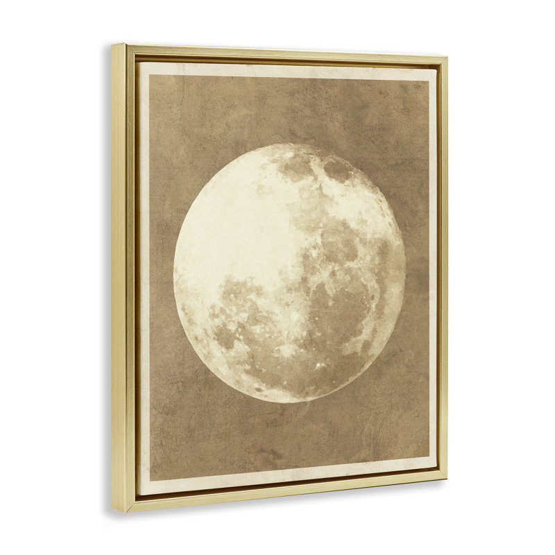 «Rustic Neutral Moon Gray» par Daphne Polselli, H 31 po x l 25 po, Cadre flottant métallique doré