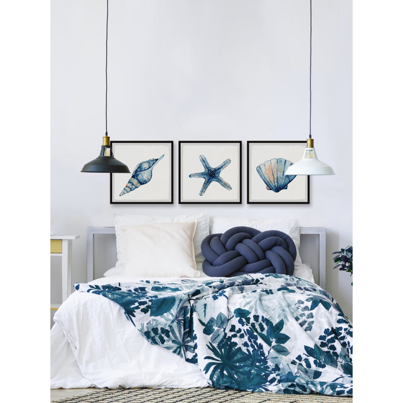 Erie Starfish And Shells by Marmont Hill - 3 Piece Single Picture Frame Painting Set, 45cm H x 45cm W x 3.81cm D
