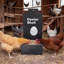 Ensemble de mangeoire à poulets en métal galvanisé robuste - anti-gaspillage, à fixation murale, facile à nettoyer, grande capacité - convient aux poulets, aux pigeons, aux canards, aux dindes et aux oiseaux dans la cour extérieure
