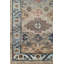 Oriental Area Rug in Gray