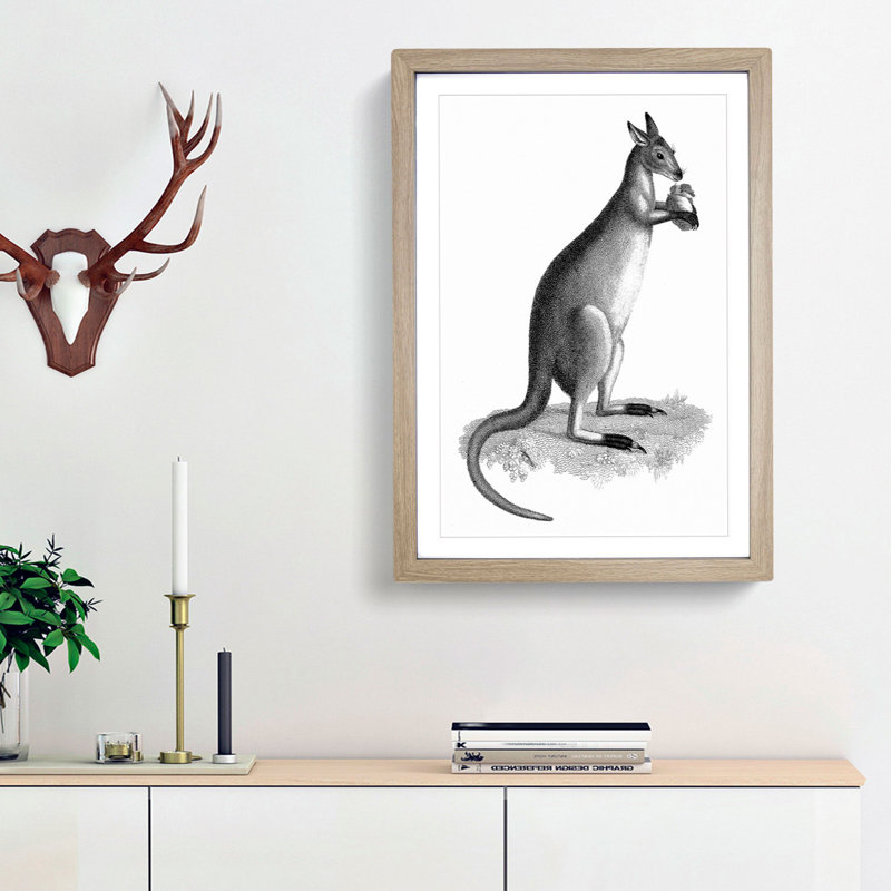 Kangaroo by George Shaw - Picture Frame Graphic Art Print, 36cm H x 27cm W x 2cm D, Oak Framed