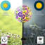 Piquet de jardin Jelayne Mache Ball