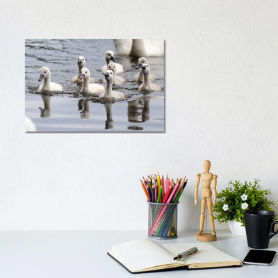 Young’uns 1 Piece Wrapped Canvas Wall Art