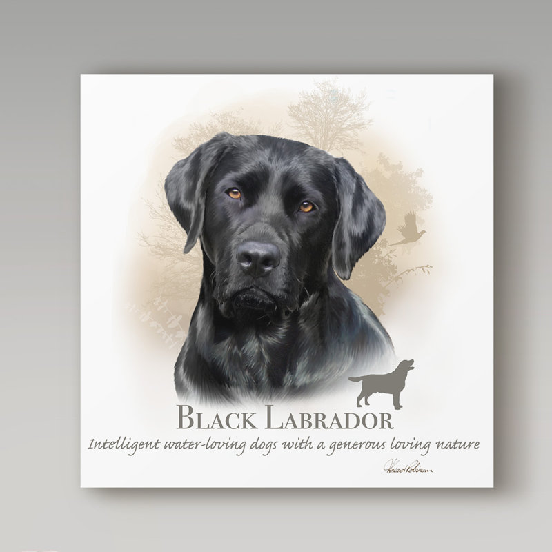 « black labrador », reproduction d’impression sur toile tendue, H 14 po x l 14 po x P 2 po
