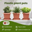 Planter-1849224911-1849224915-1849224924