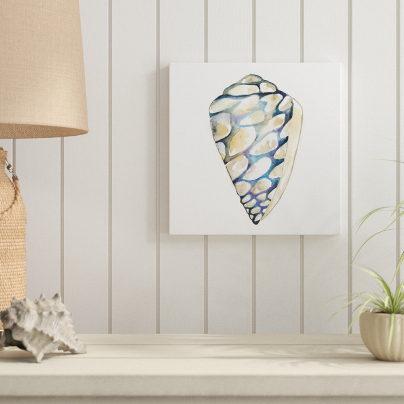 Aquarelle Shells III by Chariklia Zarris - Wrapped Canvas Painting, 30cm H x 30cm W
